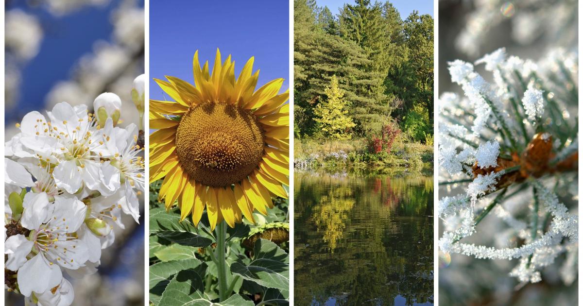 Drag Race UK Season 7: Full Celebrity Guest Judge Lineup Revealed